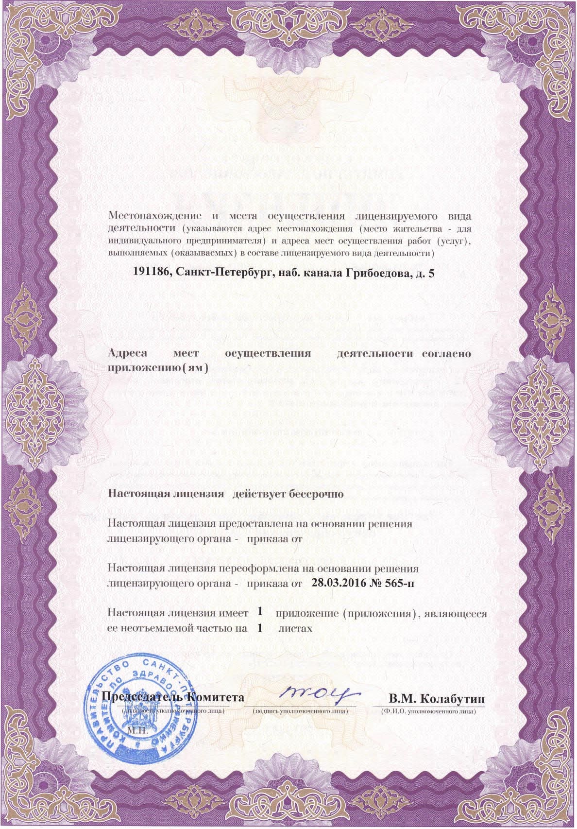 Лицензия на осуществление медицинской деятельности (2стр)